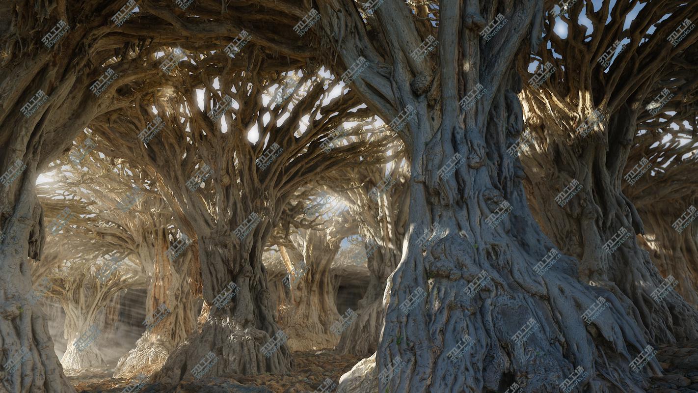 images/goods_img/202104022/Dragon Forest/2.jpg